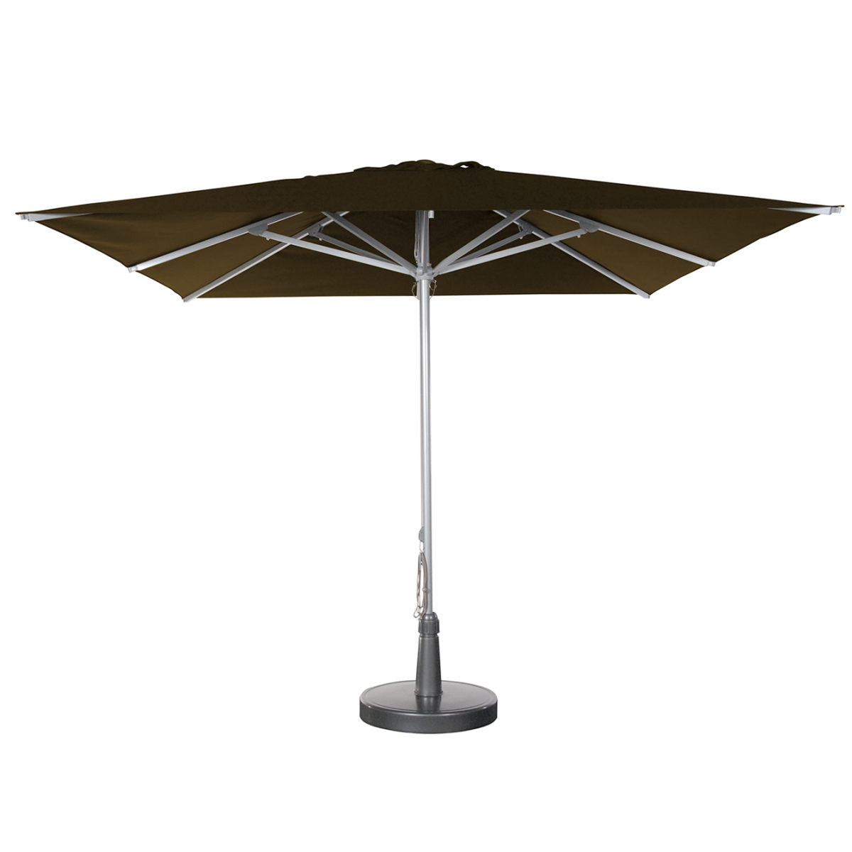 parasols_a_taupe2_1